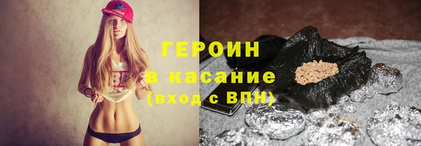 гидра Богородицк