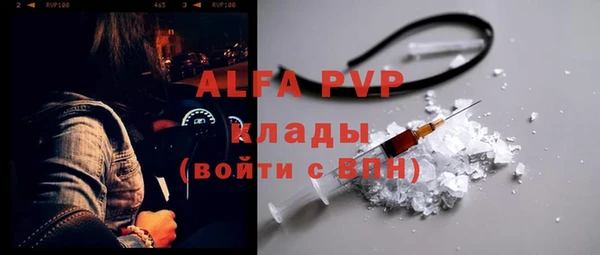 стаф Зерноград