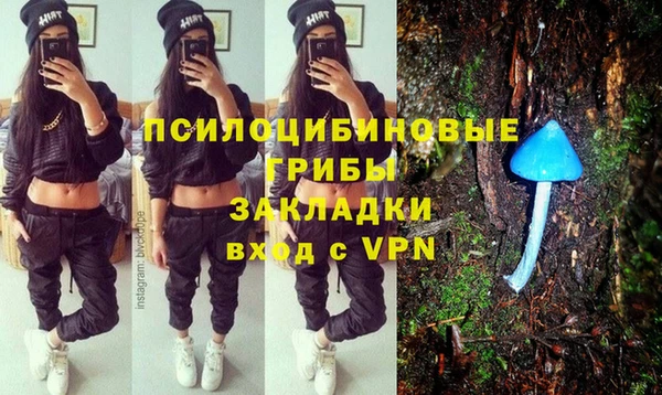 стафф Армянск