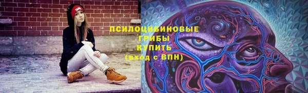 стафф Армянск